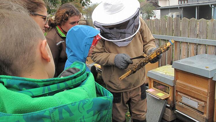 Zu Besuch gleich "Stadtoase" nebenan: Imker Herr Götz erklärt den Aufbau der Waben. Foto: Susanne Meier