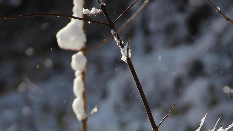 Winterbilder aus den Haßbergen