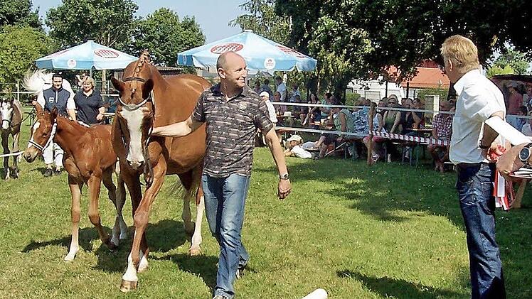 Das jüngste Fohlen vor der Jury, gerade mal drei Wochen alt Fotos: mz