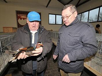 Georg Hartmann (l.) im Gespräch mit Herbert Treml. Gefeilscht wird um einen Mandarinentenerpel. Foto: Roland Meister