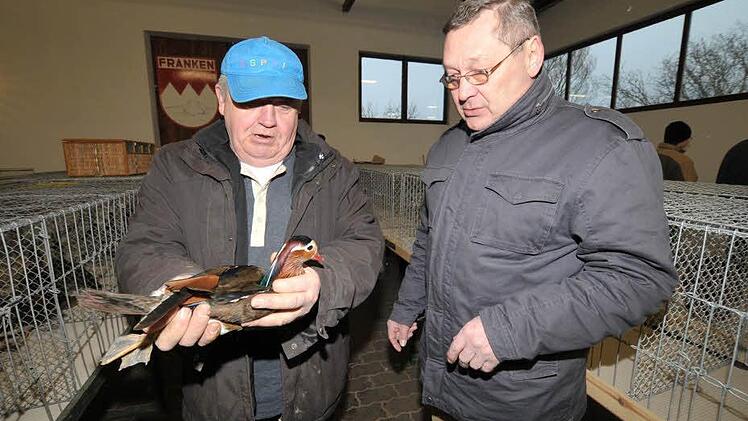Georg Hartmann (l.) im Gespräch mit Herbert Treml. Gefeilscht wird um einen Mandarinentenerpel. Foto: Roland Meister