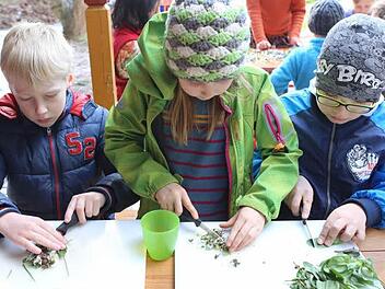 Sammeln, klein schneiden, in Quark, Butter oder Suppen aufessen: Die Kinder der Mupäz-Juniorakademie wissen seit ihrem Besuch bei der Traumgarten AG, was man mit so genanntem Unkraut machen kann. Foto: Barbara Herbst