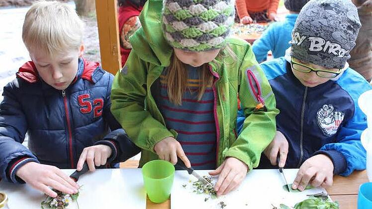 Sammeln, klein schneiden, in Quark, Butter oder Suppen aufessen: Die Kinder der Mupäz-Juniorakademie wissen seit ihrem Besuch bei der Traumgarten AG, was man mit so genanntem Unkraut machen kann. Foto: Barbara Herbst