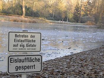 Bamberg: Städtische Weiher noch nicht tragfähig - "hier gilt eine klare Warnung"