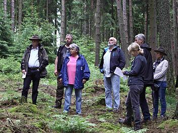 Der Stadtrat Bad Brückenau bei einer Waldexkursion im Sommer 2016. Foto: Thomas Dill
