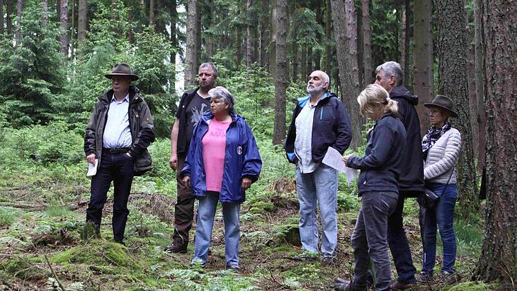 Der Stadtrat Bad Brückenau bei einer Waldexkursion im Sommer 2016. Foto: Thomas Dill