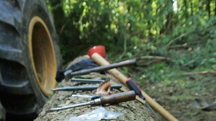 Reparatur: Im Wald muss man alle Kleinteile sorgsam bereitlegen, eine Schraube ist unterm Tannenwedel auf alle Zeiten weg ...