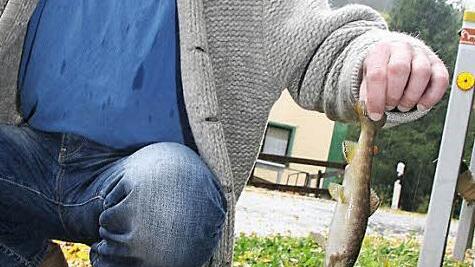 Heiko Müller ist noch immer skeptisch, ob die Wasserqualität des Mühlgraben wirklich in Ordnung ist - denn immer wieder findet er tote Fische. Eine Strafanzeige gegen das Landratsamt Kulmbach und das Wasserwirtschaftsamt sowie die Fachberatung für Fischerei des Bezirkes Oberfranken ist jedoch abgeschmettert worden. Foto: Sonja Adam