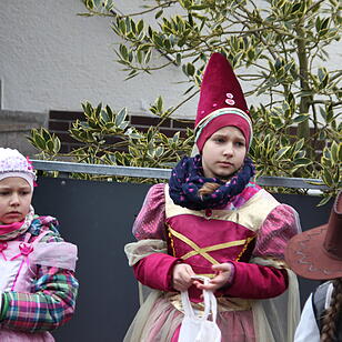 Faschingsumzug in Oberhaid