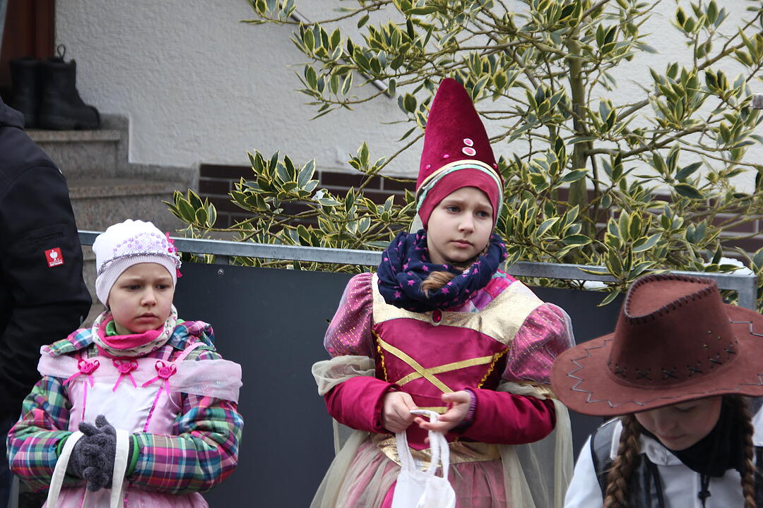 Faschingsumzug in Oberhaid