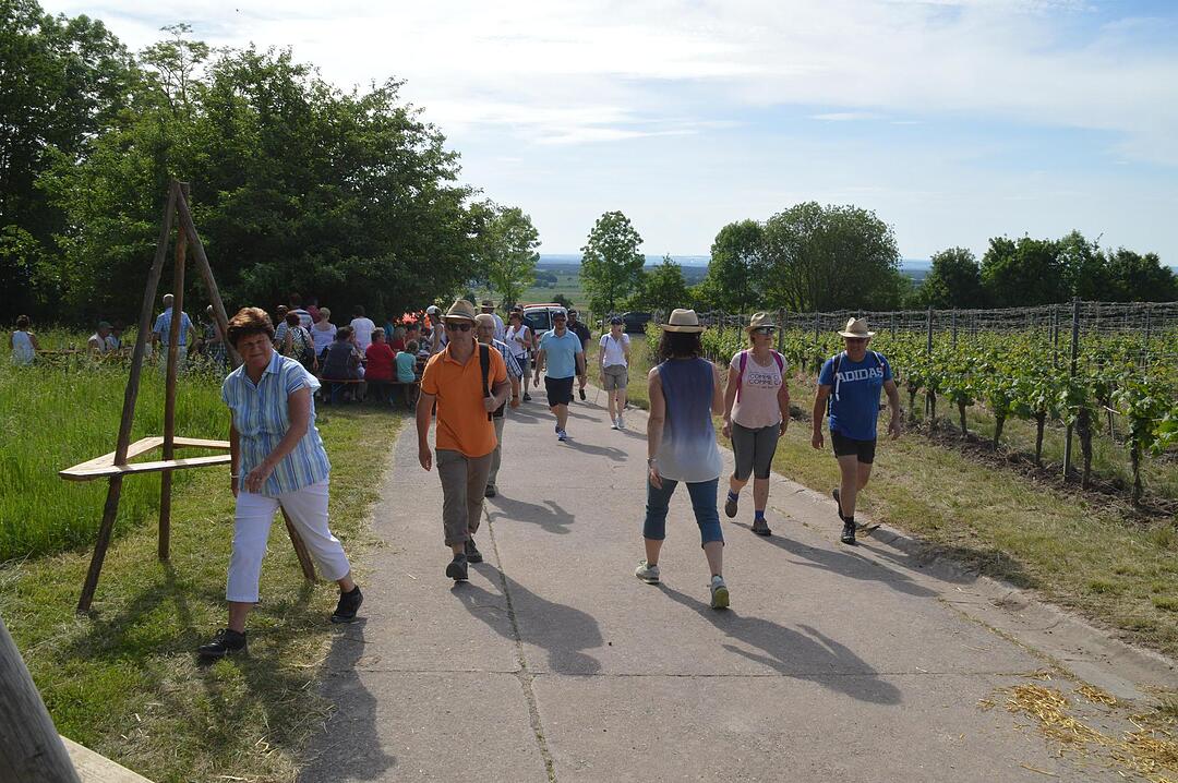 Landkreiswanderung 2017