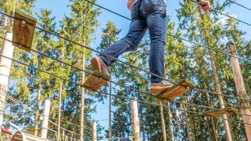 In bis zu 14 Metern Höhe kannst du im Kletterpark Untreusee deinen Mut unter Beweis stellen.