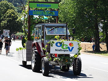 Historischer Festumzug