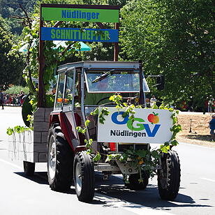 Historischer Festumzug