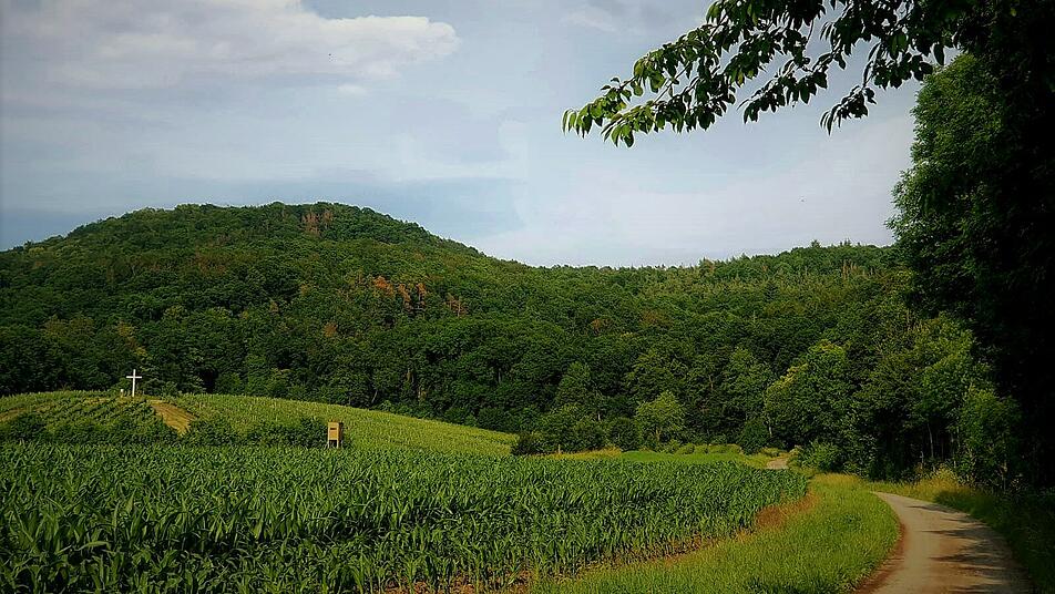 Steigerwald Naturpark Steigerwald: Was macht die Landschaft so besonders?