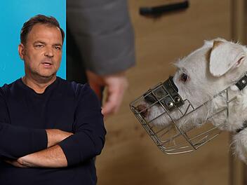 Martin R&uuml;tter ist geschockt: Der elfj&auml;hrige R&uuml;de Elvis hat einen inoperablen Tumor.