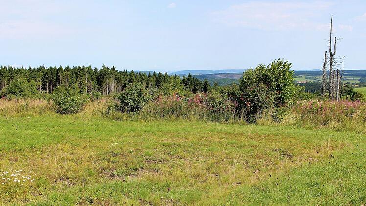 Offene, abwechslungsreiche Flächen mit einzelnen Beobachtungswarten, wie es sie in der Langen Rhön häufig gibt, sind die Reviere der wenigen brütenden Raubwürger. Foto: Julia Raab
