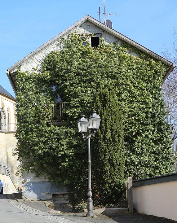 SoS Wallenfels im Lkr. KC; Foto: Barbara Herbst