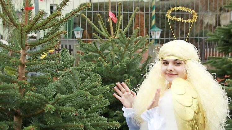 Das Staffelsteiner Christkind - die 14-jährige Zoi - suchte sich im Tannenwald einen Weihnachtsbaum aus. Fotos: Matthias Einwag