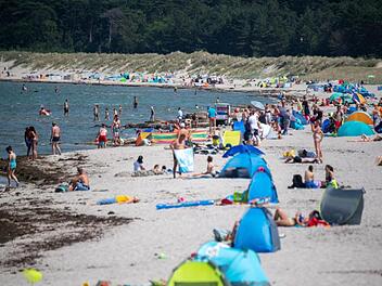 Warnung vor Vibrionen in Ostsee