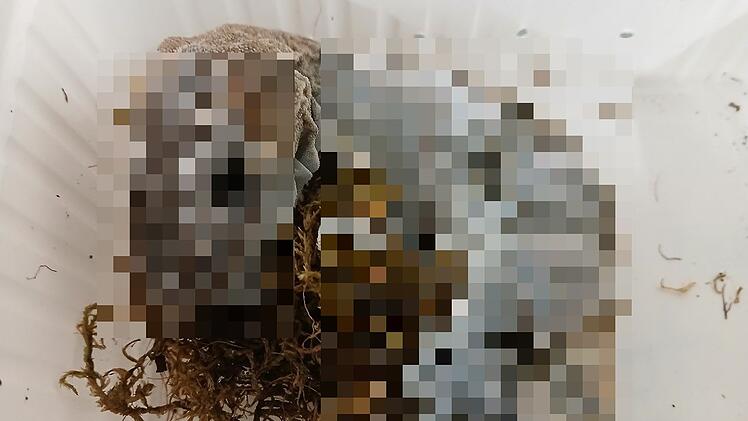 Landkreis Ha&szlig;berge: 32 tote Haustiere gefunden