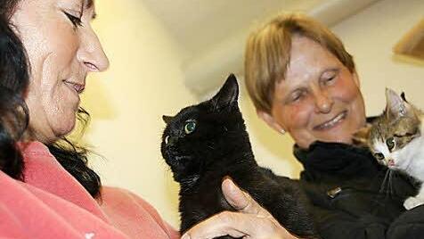 Tierheimleiterin Angela Drabant und Iris von Crailsheim (Tierschutzverein) streicheln die Katzen.