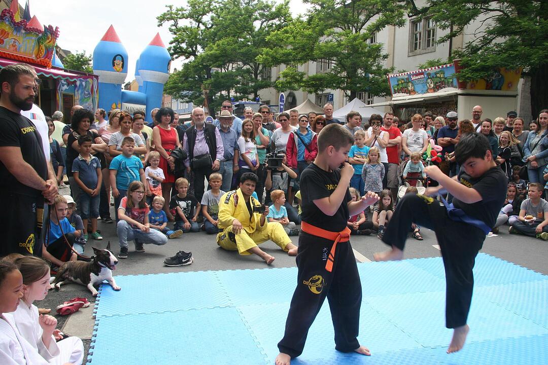 Stadtfest Kitzingen (2)