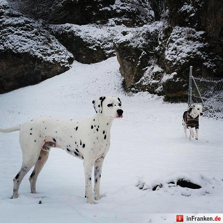 Schnee in Franken Januar 2017 - Leserfotos