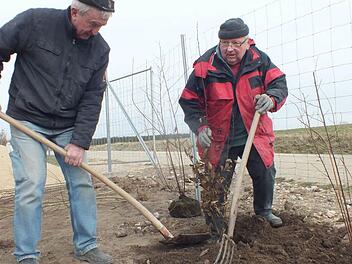 Heinrich Krämer (l.) und Werner Heilmann halfen dabei, die Sträucher anzupflanzen. Foto: Manfred Welker