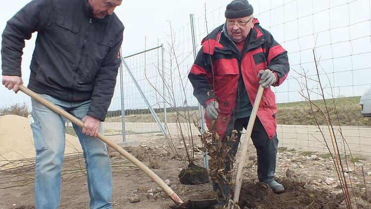 Heinrich Krämer (l.) und Werner Heilmann halfen dabei, die Sträucher anzupflanzen. Foto: Manfred Welker