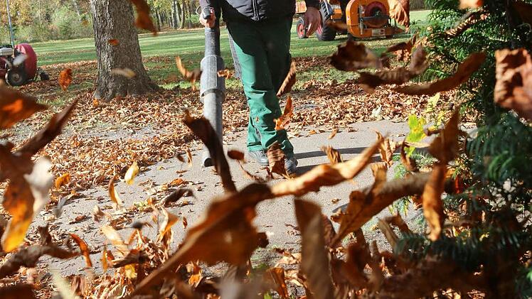 Im Hain haben Mitarbeiter des Gartenamtes derzeit mit ordentlich Laub zu kämpfen. Foto: Barbara Herbst