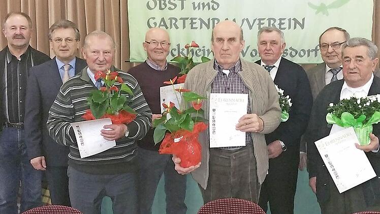 Ehrungen für 40-jährige Mitgliedschaft beim Stockheimer Gartenbauverein: (von links) Kreisvorsitzender Fritz Pohl, Bürgermeister Rainer Detsch, Willi Müller, Kurt Fehn, Otto Scherer, Reinhold Lang, Vorsitzender Gerhard Ramming sowie Albin Gröger