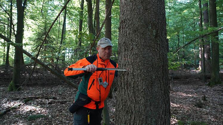 Steffen Walther greift mit einer Schieblehre den Durchmesser des Stamms ab. Fotos: Arkadius Guzy
