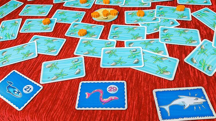 Hi Fisch! im Test - fränkisches Kartenspiel für kleine und große Meeresfischer