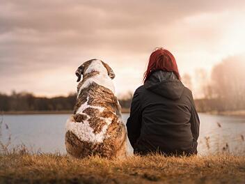 Eine Person und ein Hund sitzen entspannt am Ufer eines Sees und blicken in den Sonnenuntergang. Perfekt für Tierliebhaber, die gerne mit ihrem Hund reisen.