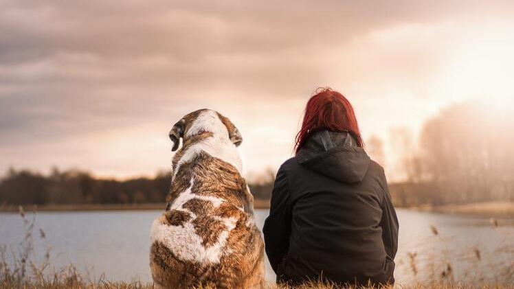 Eine Person und ein Hund sitzen entspannt am Ufer eines Sees und blicken in den Sonnenuntergang. Perfekt für Tierliebhaber, die gerne mit ihrem Hund reisen.