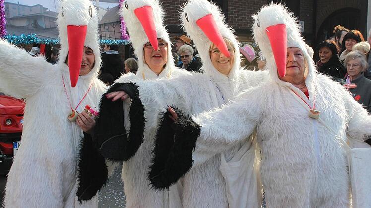 Tierische Gymnastikfrauen