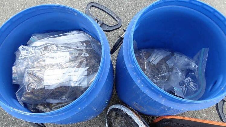 Knapp zwei Kilogramm Marihuana stellte die Polizei sicher.  Foto: Polizei