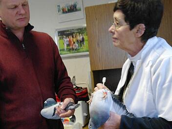 Eine Reihe von Standard- und gezielten Fragen sagen der Fachtierärztin Dr. Heidi Kny (rechts) schon viel über eventuelle leistungsmindernde Bedingungen. Foto: Stephanie Elm