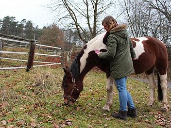 Egal ob Streicheln, Kutschfahrt oder Reiten - jeder Pferdebesitzer entscheidet selbst, was er anbietet. Auf Conchita dürfen die Kinder reiten. Foto: Lisa Kieslinger
