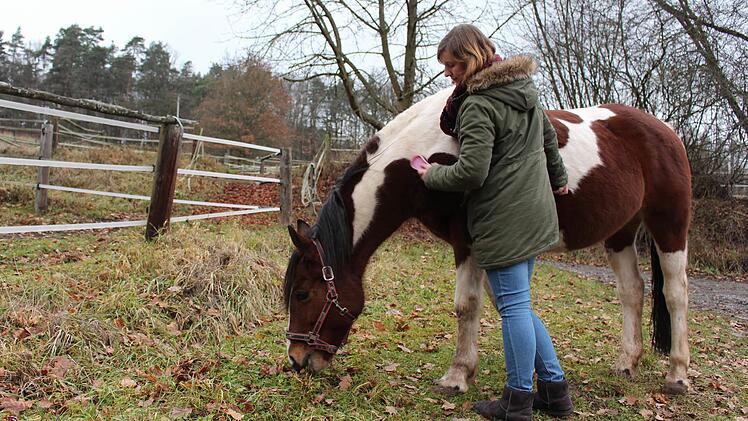Egal ob Streicheln, Kutschfahrt oder Reiten - jeder Pferdebesitzer entscheidet selbst, was er anbietet. Auf Conchita dürfen die Kinder reiten. Foto: Lisa Kieslinger