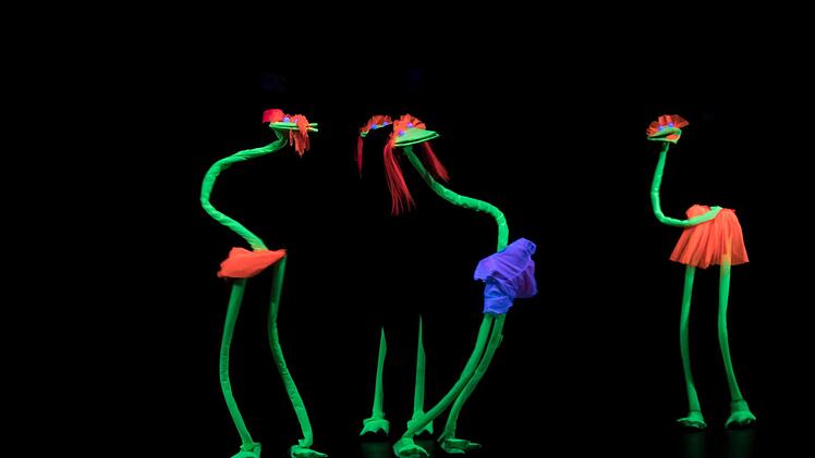 Die Concordivas lieferten eine schwungvolle Schwarzlichtshow.