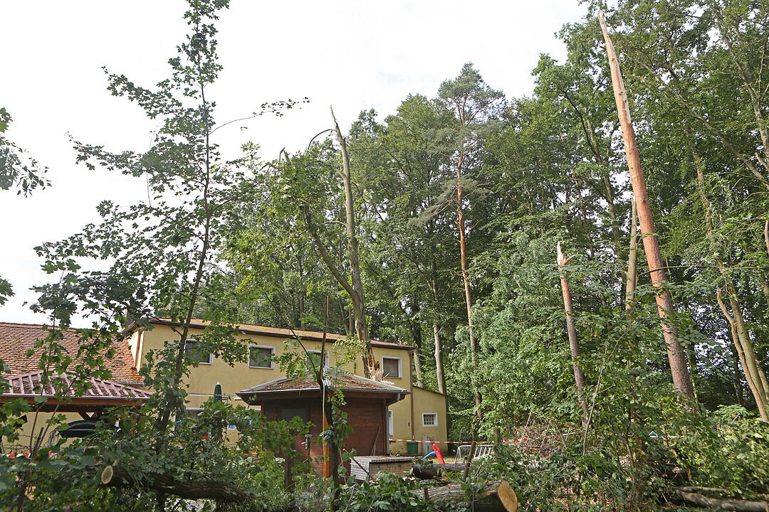 Aufraeumarbeiten in Bamberg nach schwerem Unwetter