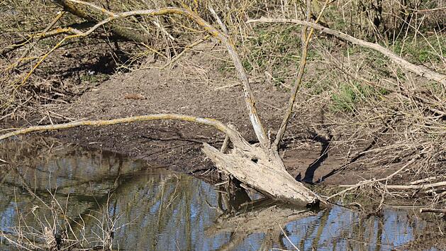 Mit viel Fantasie kann man im Roten Main einen Hirsch erkennen kann. Foto: Katrin Geyer