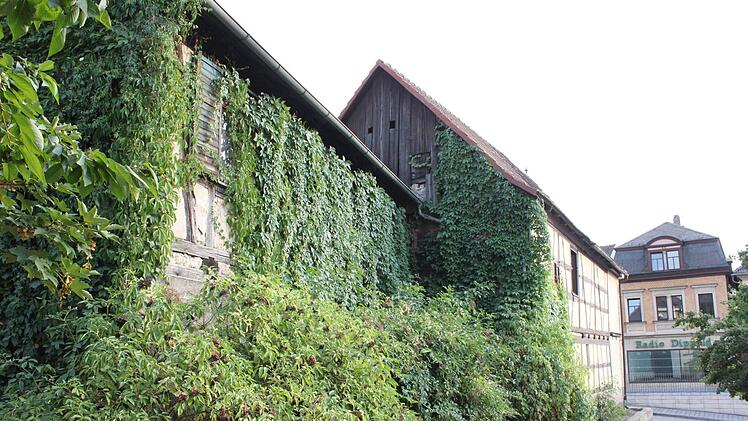 Den rückwärtigen Bereich des Gebäudes Coburger Straße 20 ziert zwar üppiges Grün, einen Garten besitzt das Anwesen jedoch nicht.