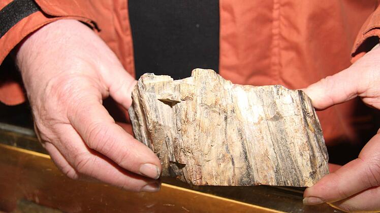 Berthold Schwämmlein hat den außergewöhnlichen Stein auf einer Abraumhalde gefunden und ihn aufsägen lassen. So kommen die Holzmaserungen noch besser zur Geltung. Er stammt aus dem Rotliegenden (auch Untere Dyas genannt), einer geologischen Schicht, die vor allem für die Entstehung von Steinkohle wichtig war.