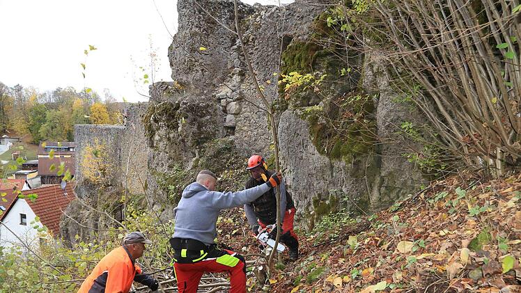 Felsfreilegung an der Burgruine in Bärnfels Foto: Franz Galster