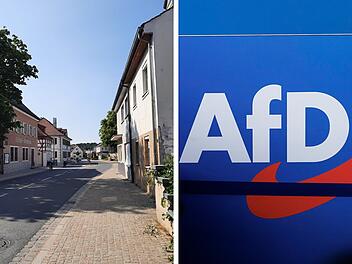 AfD-Hochburgen bei der Landtagswahl in Franken: Hier war die Partei besonders stark
