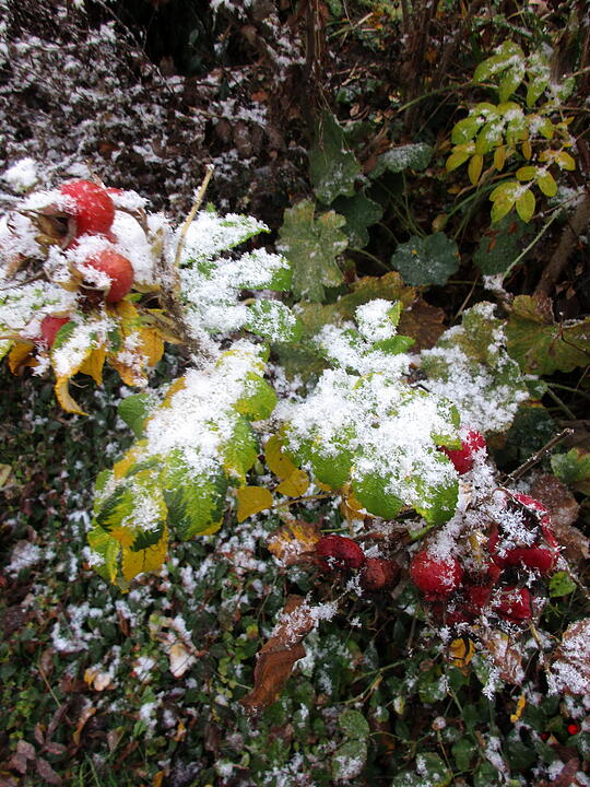Erster Schnee in Oberfranken