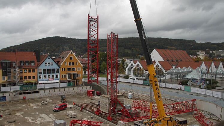 So wächst der Riesenkran